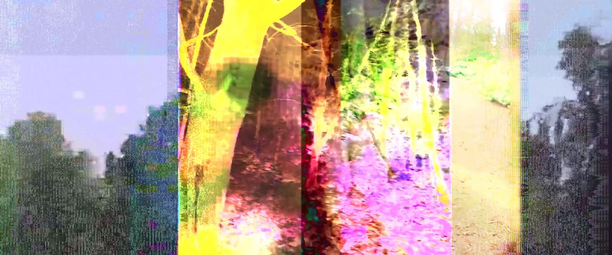 Collage mit digitalen Artefakten und leuchtenden Farben. Im Hintergrund: Bäume